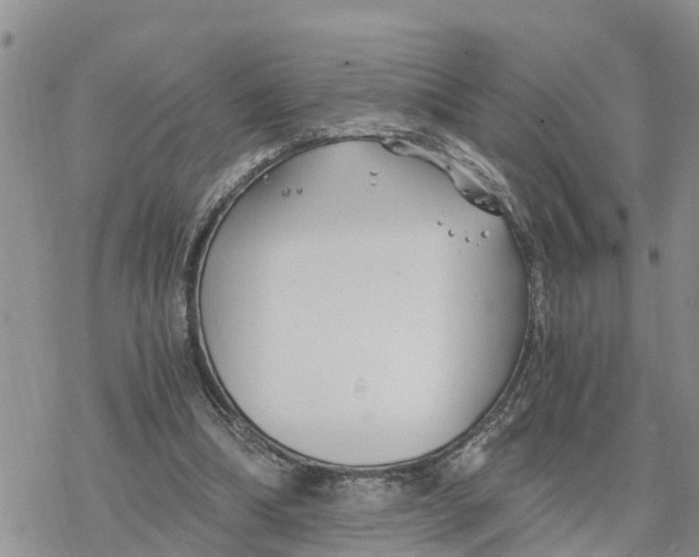 X0000078260298200611251335