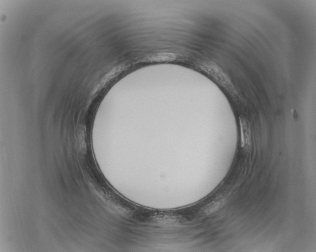 X0000078260300200611251335