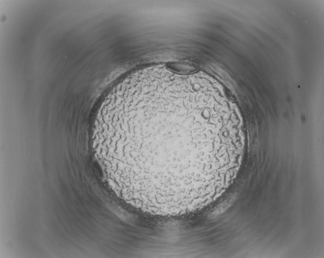 X0000078260301200611251335