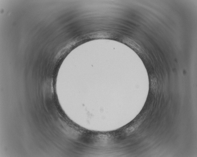 X0000078260302200611251335