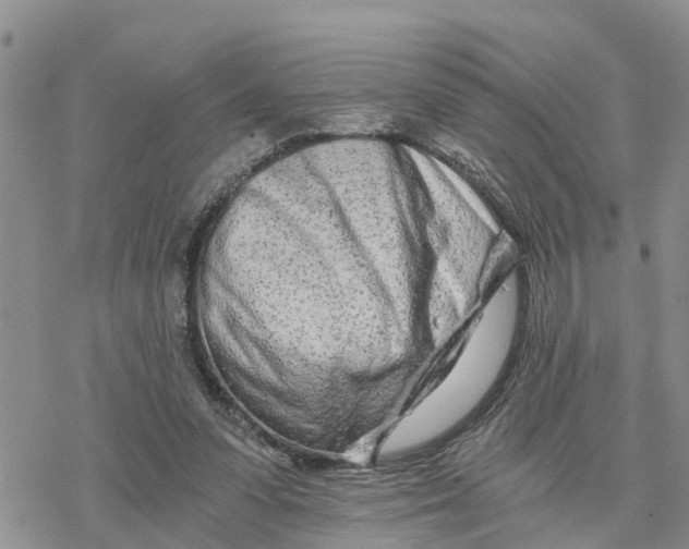 X0000078260303200611251335