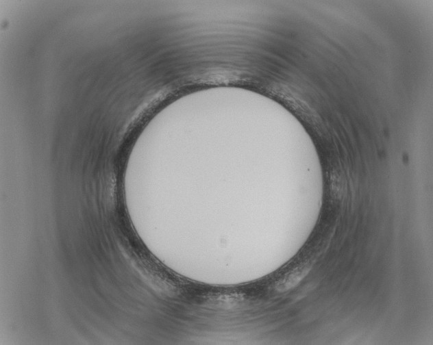 X0000078260304200611251335