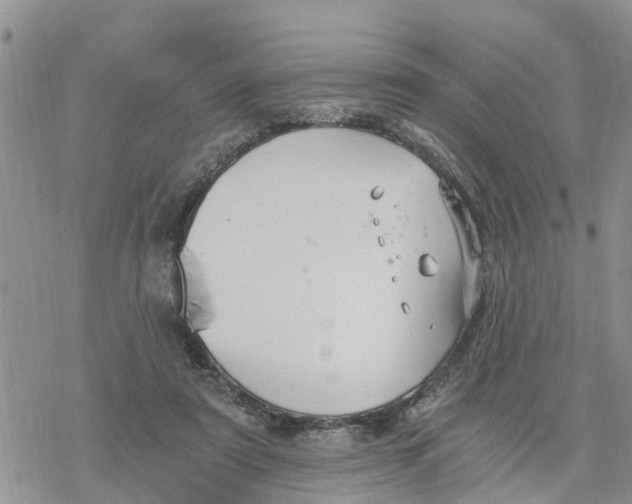 X0000078260307200611251335