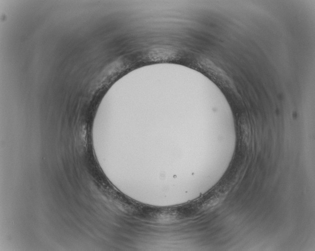 X0000078260308200611251335