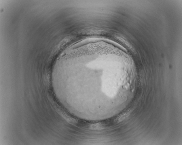 X0000078260309200611251335