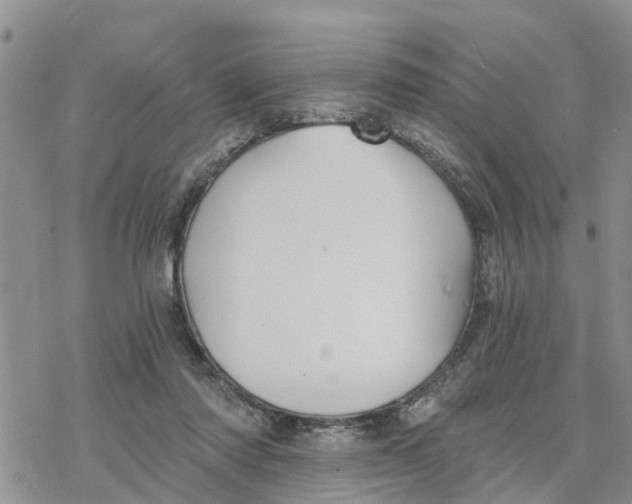 X0000078260310200611251335