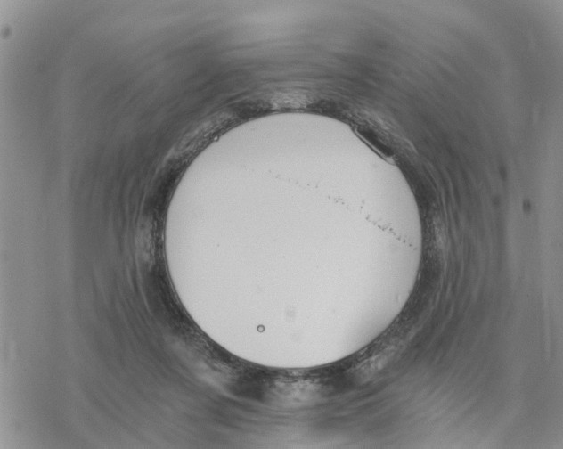 X0000078260311200611251335