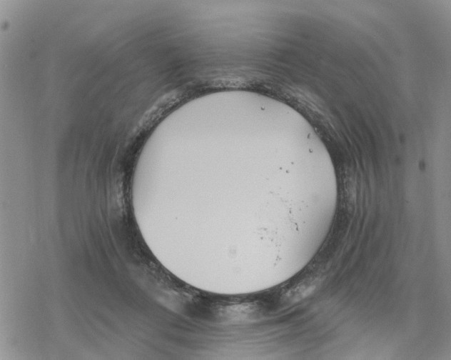 X0000078260312200611251335