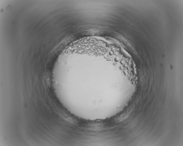 X0000078260313200611251335