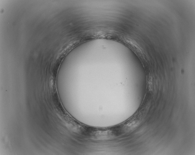 X0000078260314200611251335