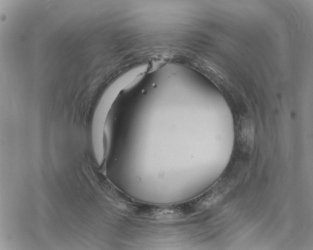 X0000078260315200611251335