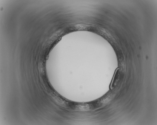 X0000078260317200611251335