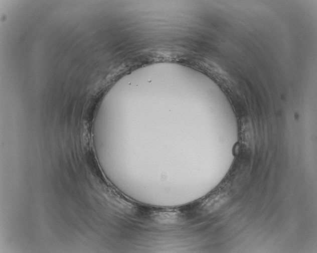 X0000078260318200611251335