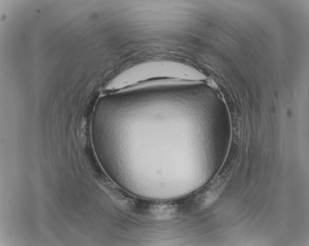 X0000078260319200611251335