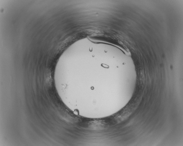 X0000078260320200611251335