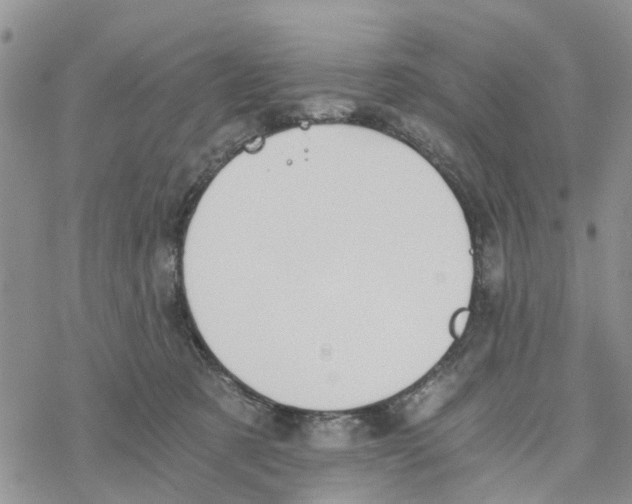 X0000078260321200611251335