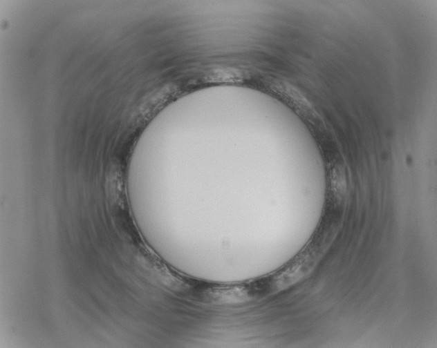 X0000078260322200611251335