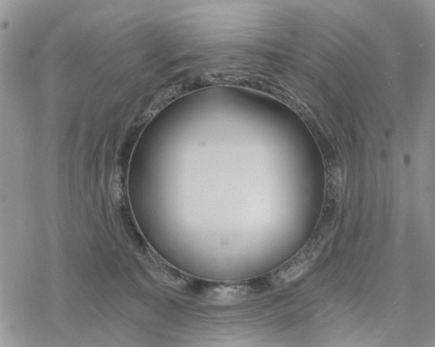 X0000078260323200611251335