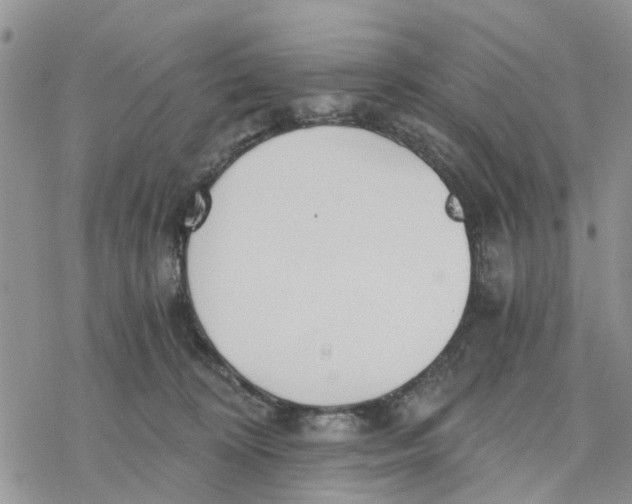 X0000078260324200611251335