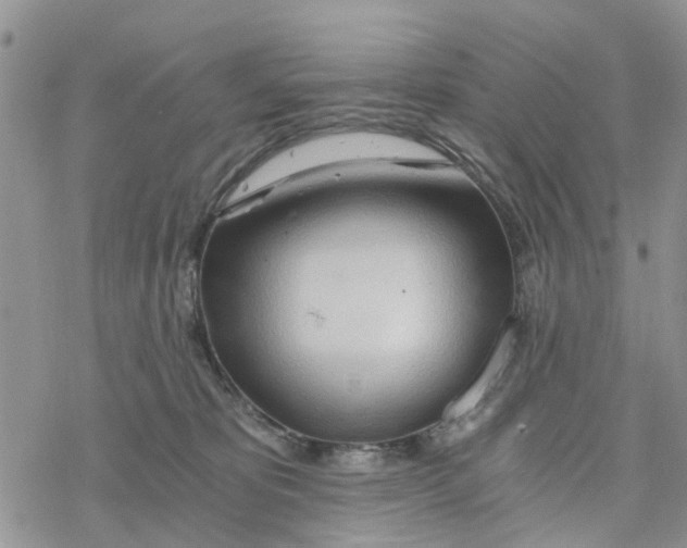 X0000078260325200611251335