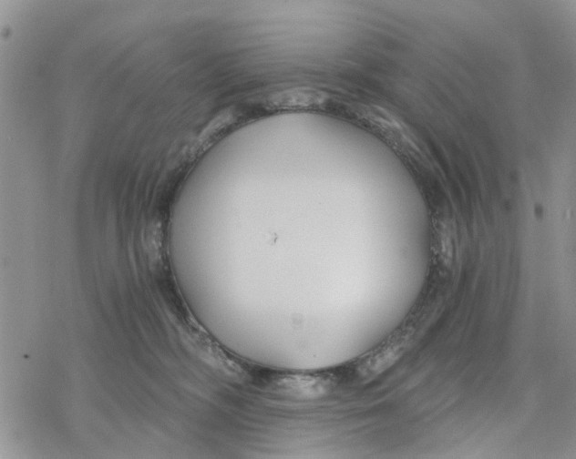 X0000078260326200611251335