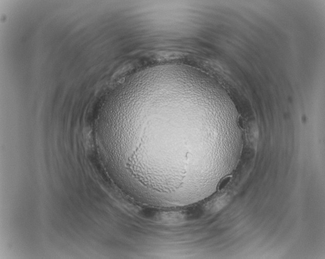 X0000078260327200611251335