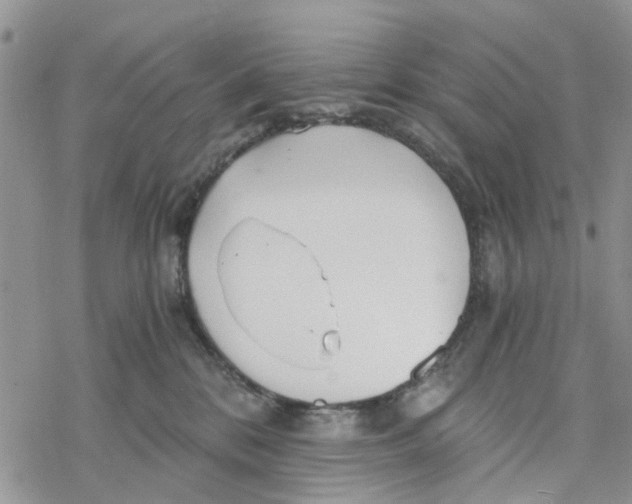 X0000078260328200611251335