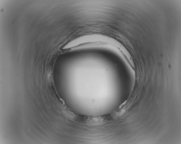 X0000078260329200611251335