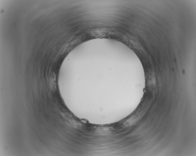 X0000078260332200611251335