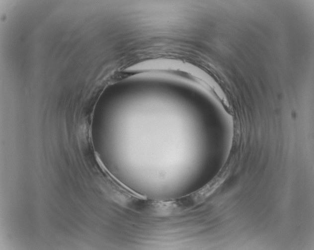 X0000078260333200611251335