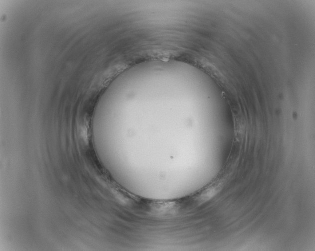 X0000078260334200611251335