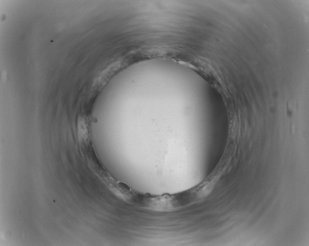 X0000078260335200611251335