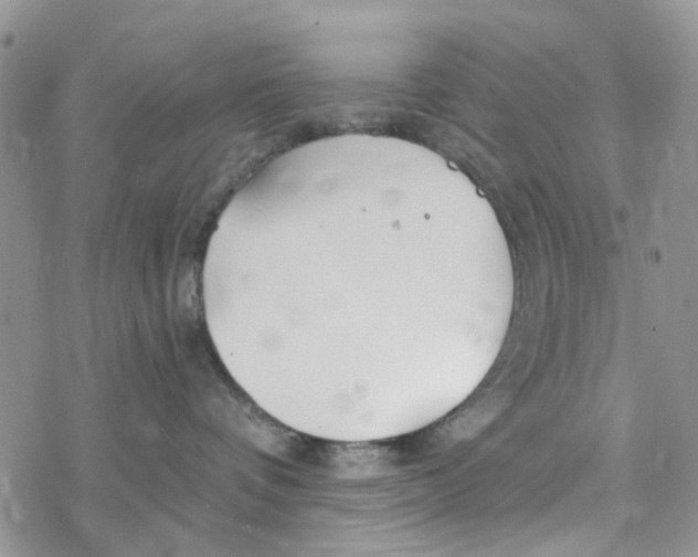 X0000078260336200611251335