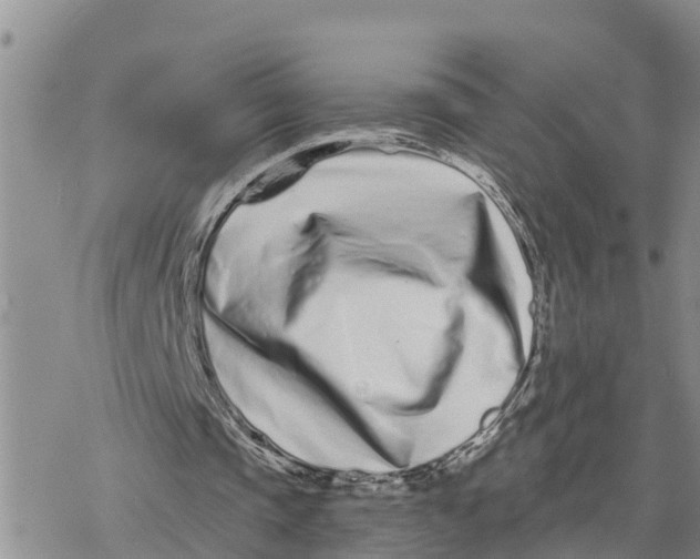 X0000078260337200611251334