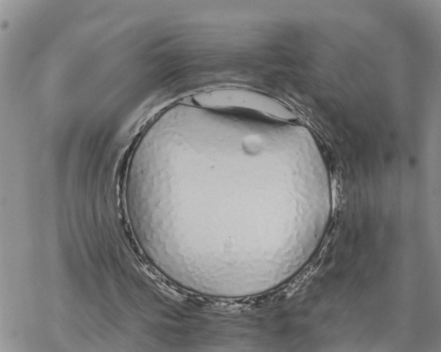 X0000078260339200611251334