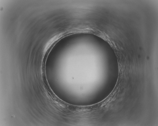 X0000078260340200611251334