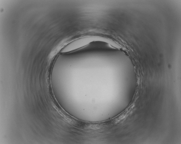 X0000078260341200611251334