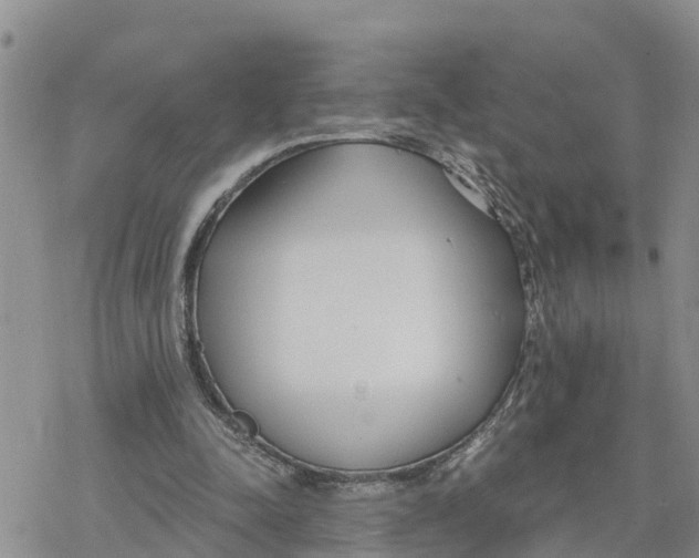 X0000078260342200611251334