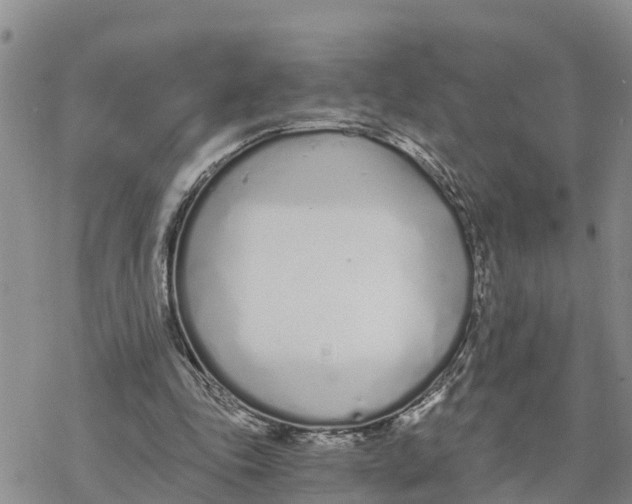 X0000078260343200611251334