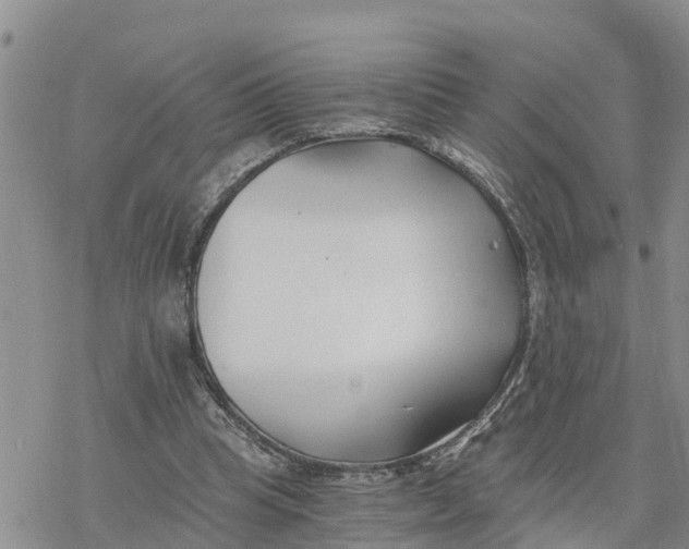 X0000078260345200611251334