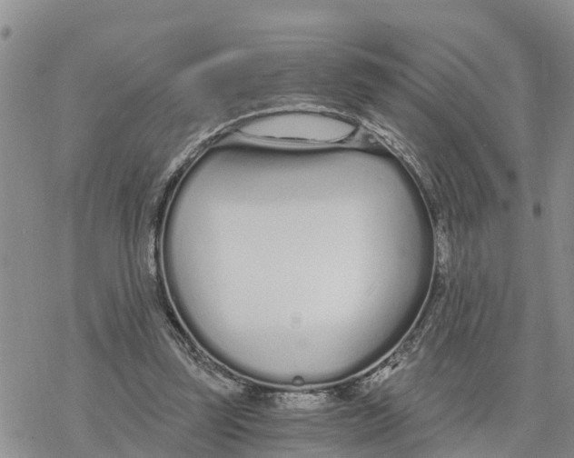 X0000078260347200611251334