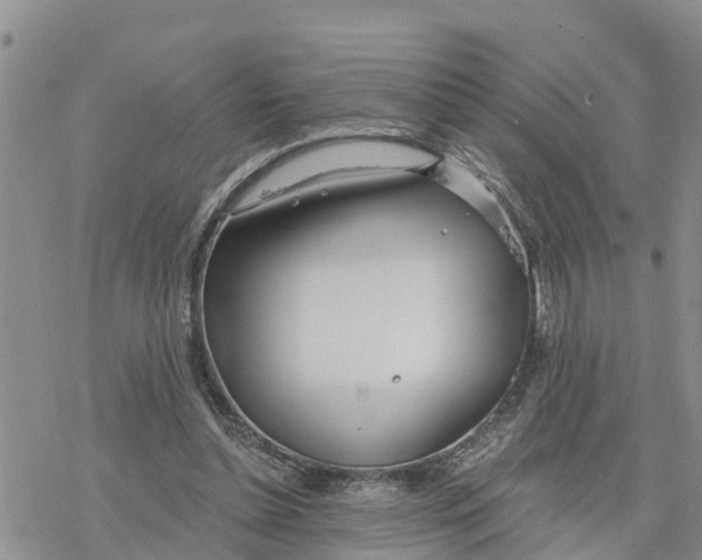 X0000078260348200611251334