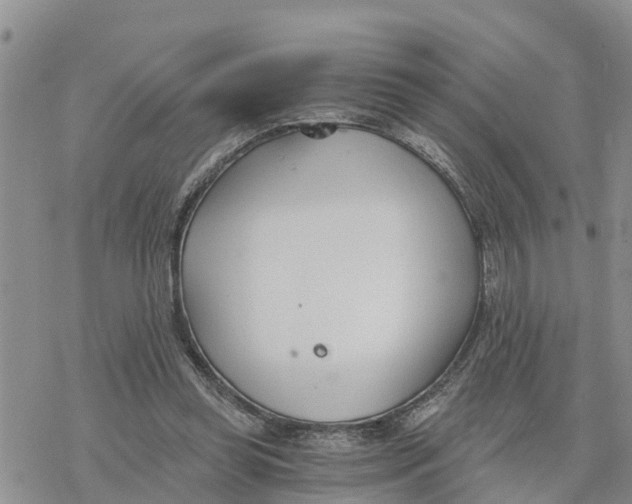 X0000078260349200611251334