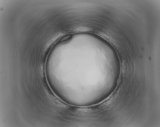 X0000078260351200611251334