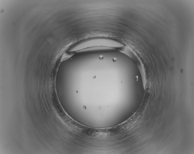 X0000078260352200611251334