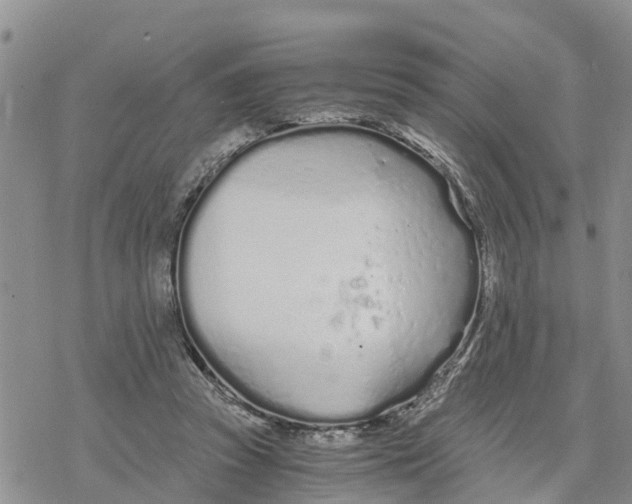 X0000078260353200611251334