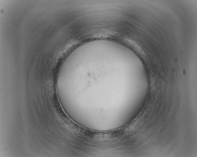 X0000078260354200611251334