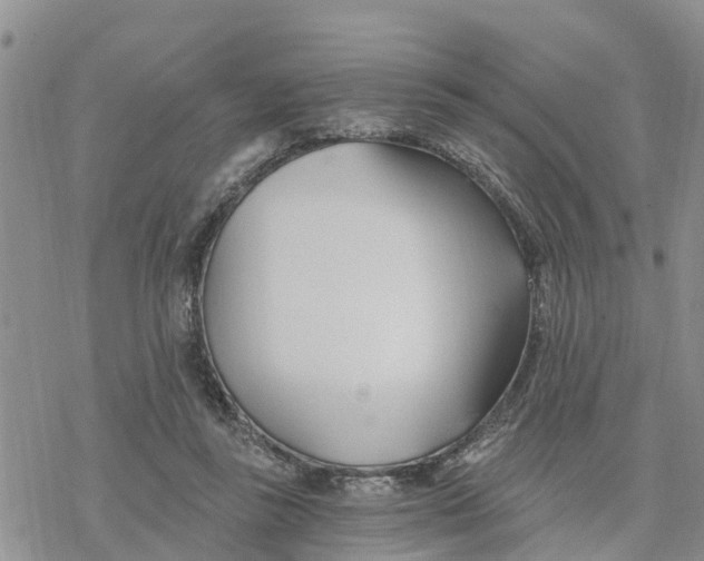 X0000078260355200611251334