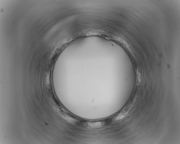 X0000078260357200611251334