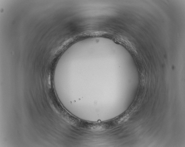 X0000078260358200611251334